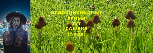ALPHA PVP Ростов