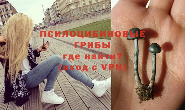 шишки Алексеевка