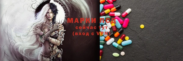 apvp Алзамай