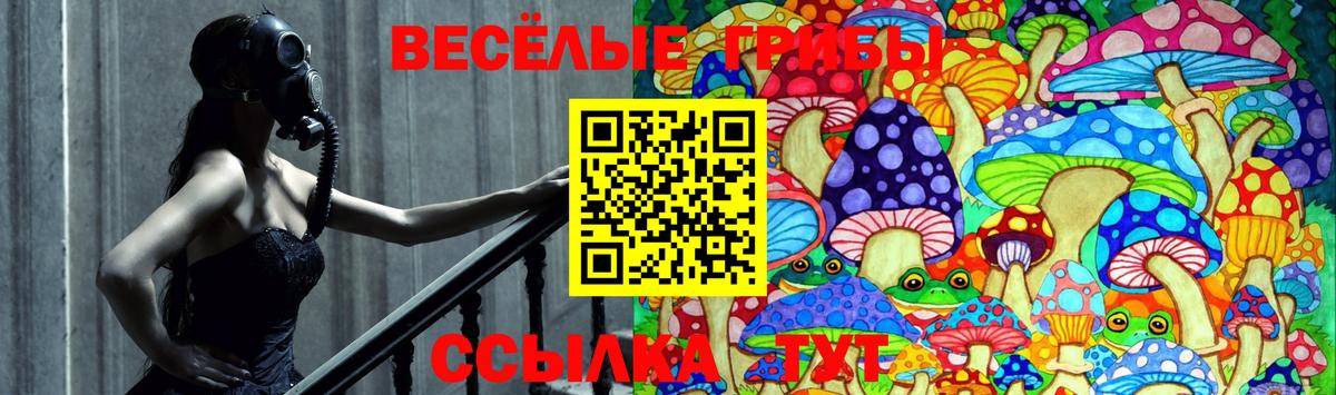 Галлюциногенные грибы Psilocybe  Вход с VPN  Бахчисарай 